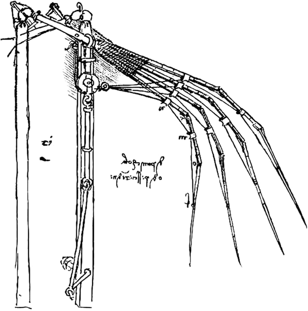 A sketch by Leonardo da Vinci